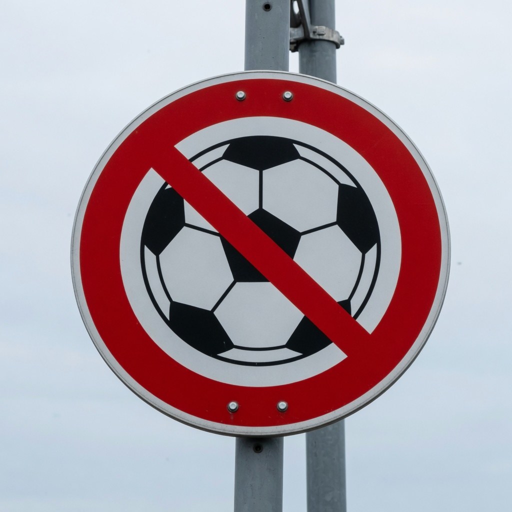prohibido — не можна, заборонено
