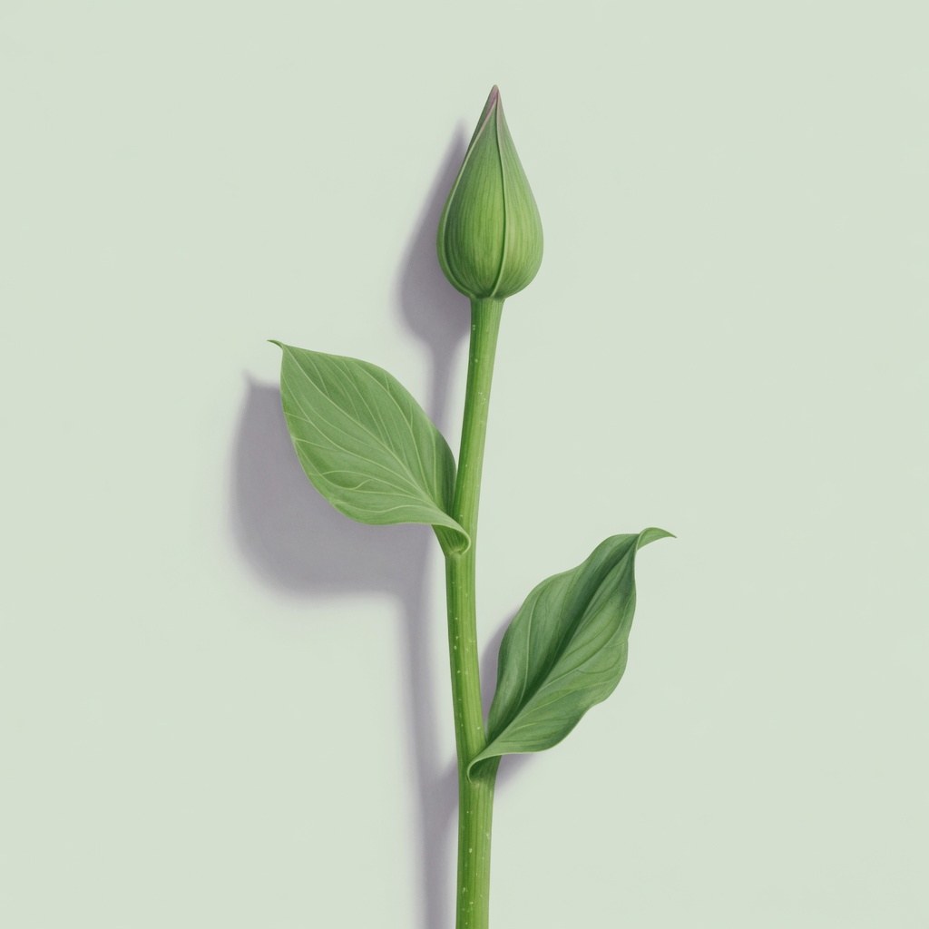 el tallo — стебель