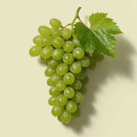 U · uvas — літера «у» · виноград