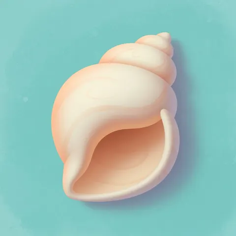 concha — ракушка