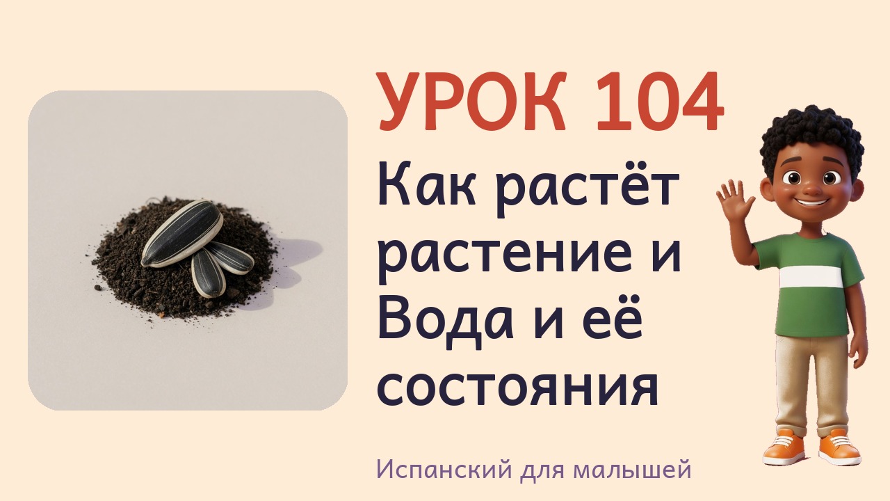 Урок 104. Как растёт растение и Вода и её состояния