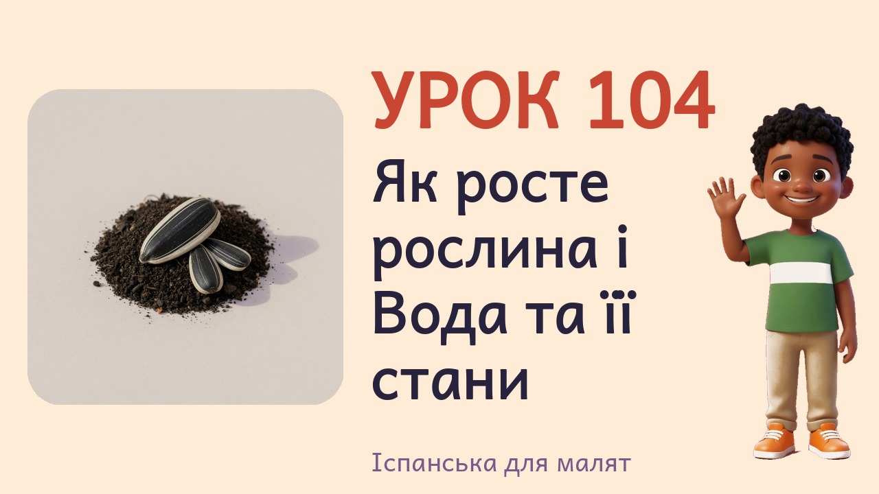 Урок 104. Як росте рослина і Вода та її стани